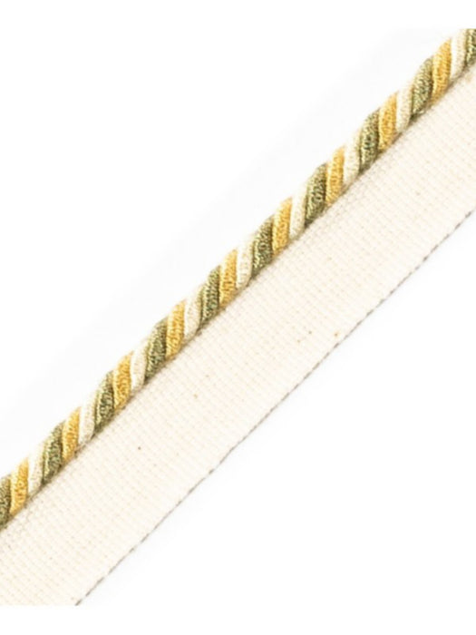 Scalamandre Cord With Tape Rialto Trim Sample PL64660231