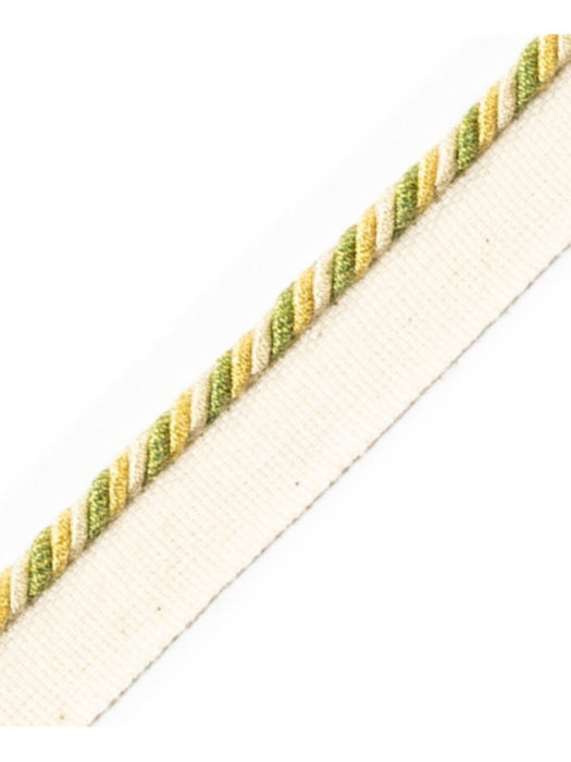 Scalamandre Cord With Tape Primevere Trim PL64660232