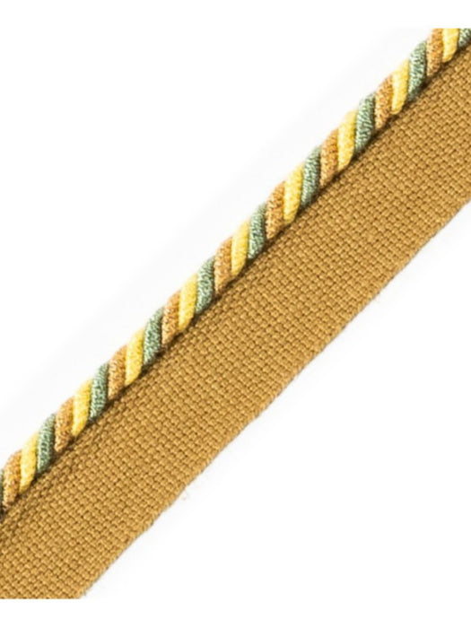 Scalamandre Cord With Tape Pampa Trim Sample PL64660233