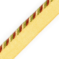 Scalamandre Cord With Tape Sirop Trim PL64660234