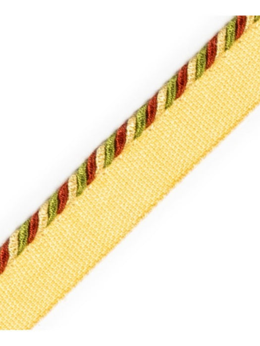 Scalamandre Cord With Tape Sirop Trim Sample PL64660234