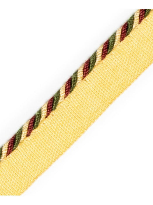 Scalamandre Cord With Tape Arlequin Trim PL64660235