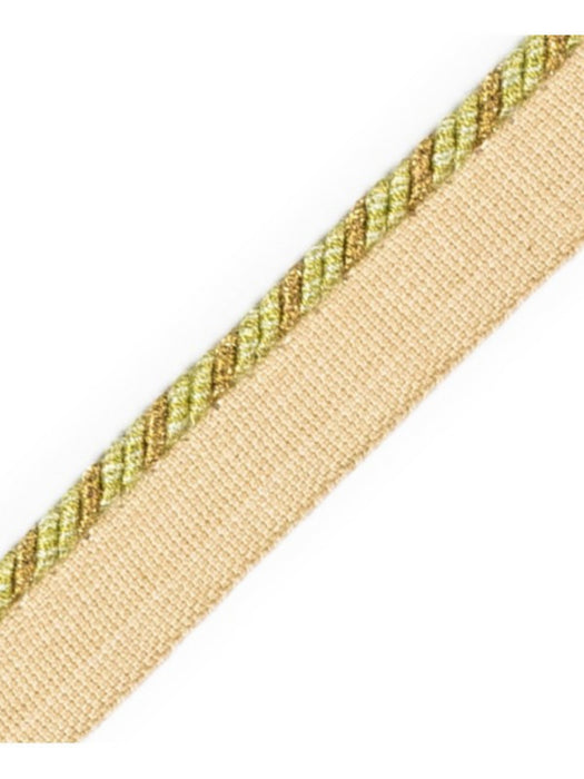 Scalamandre Cord With Tape Cactus Trim Sample PL64660237
