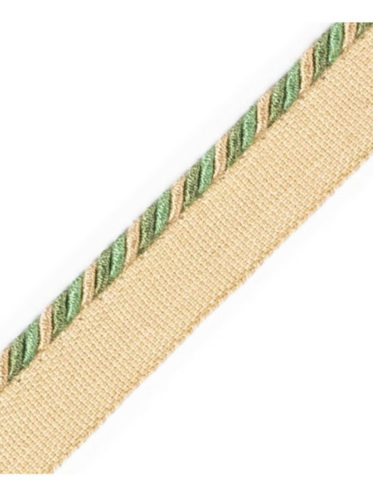 Scalamandre Cord With Tape Prairie Trim PL64660238