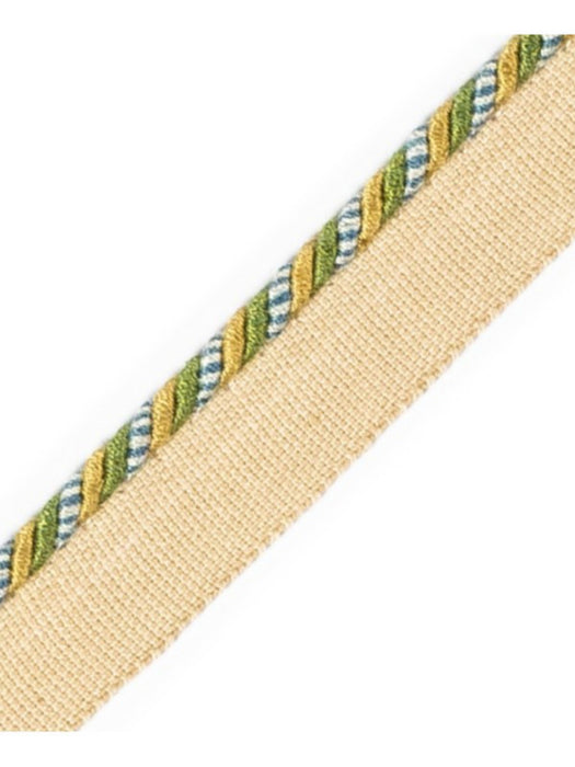 Scalamandre Cord With Tape Algue Trim PL64660239