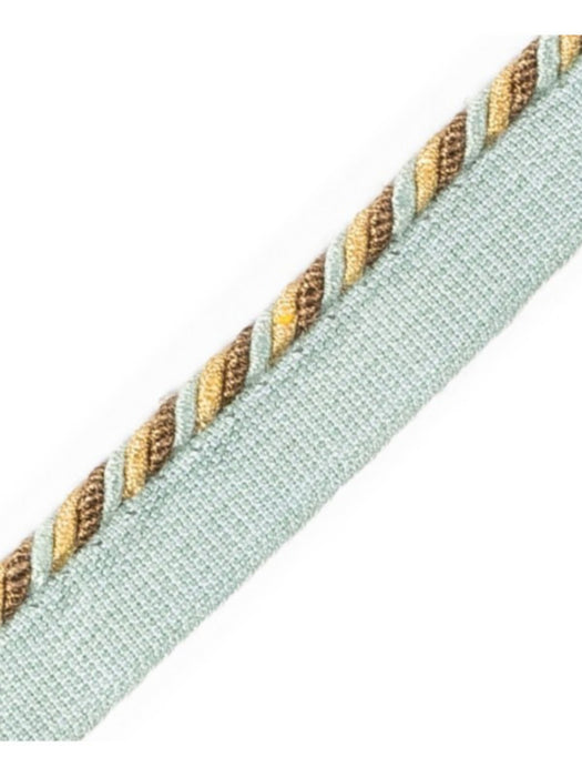 Scalamandre Cord With Tape Limonade Trim Sample PL64660242