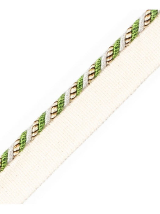 Scalamandre Cord With Tape Etang Trim Sample PL64660243