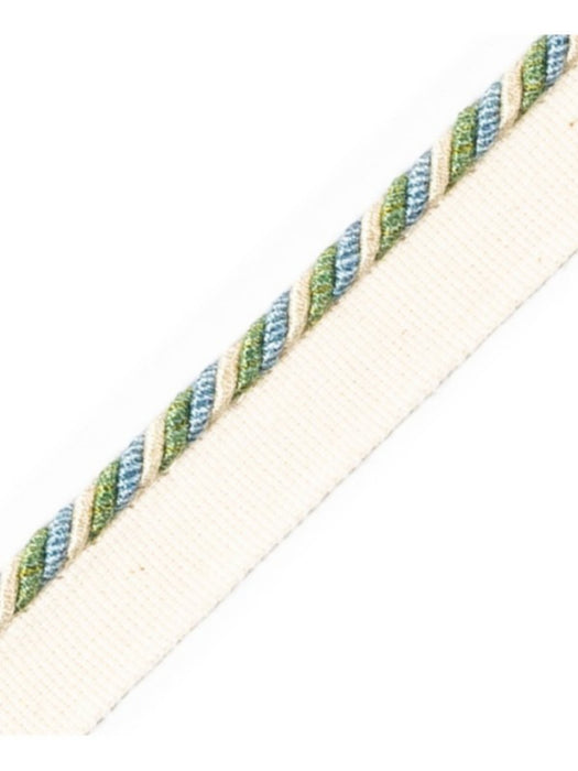 Scalamandre Cord With Tape Aqua Trim PL64660244