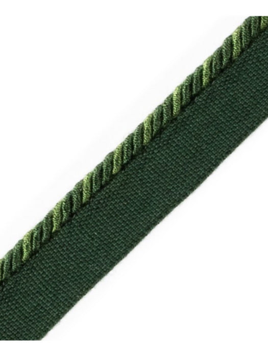 Scalamandre Cord With Tape Foret Trim PL64660245