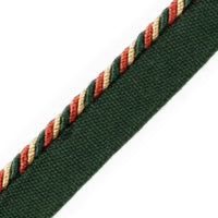 Scalamandre Cord With Tape Nenuphar Trim PL64660246