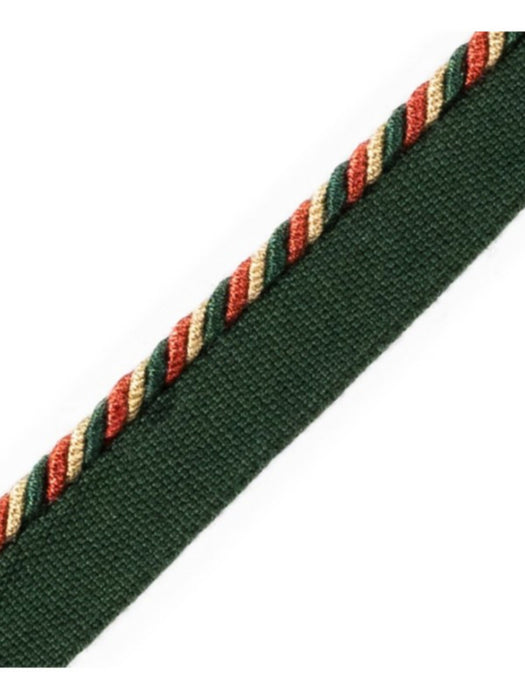 Scalamandre Cord With Tape Nenuphar Trim PL64660246