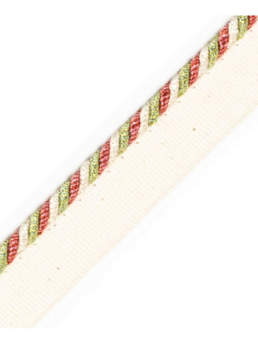 Scalamandre Cord With Tape Dahlia Trim Sample PL64660252