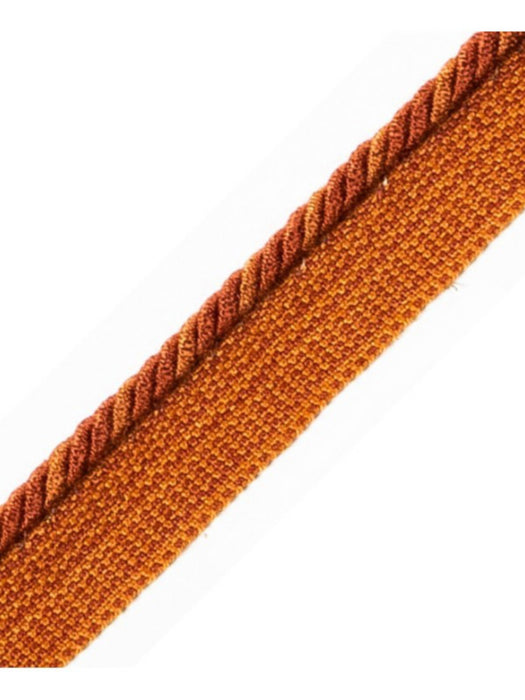 Scalamandre Cord With Tape Brique Trim Sample PL64660268