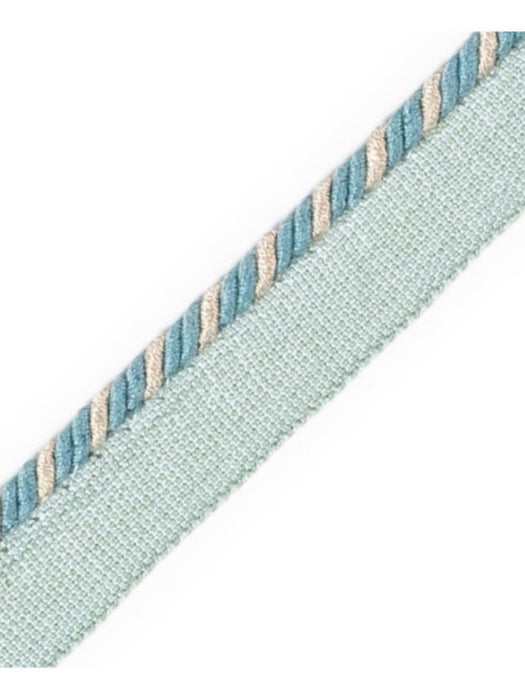 Scalamandre Cord With Tape Ciel Trim Sample PL64660275