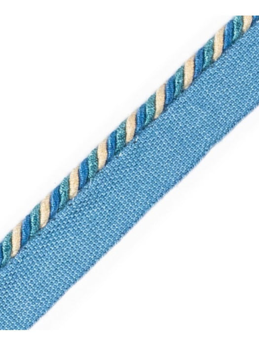 Scalamandre Cord With Tape Fleuve Trim Sample PL64660276