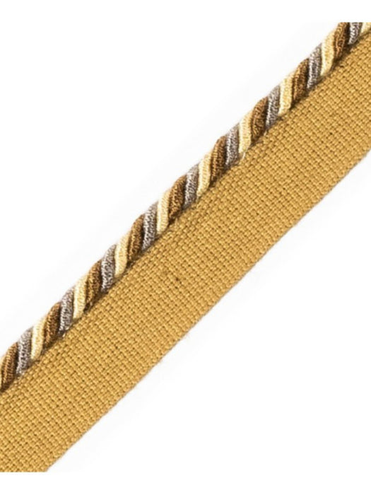 Scalamandre Cord With Tape Furet Trim PL64660282