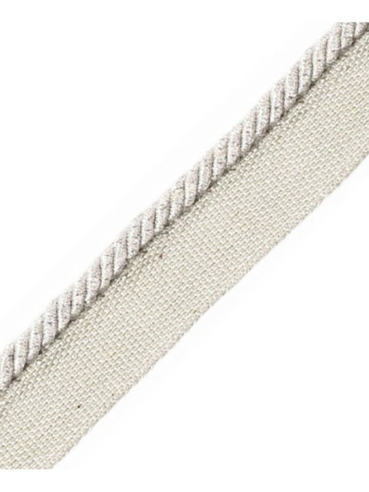 Scalamandre Cord With Tape Argent Trim Sample PL64660283