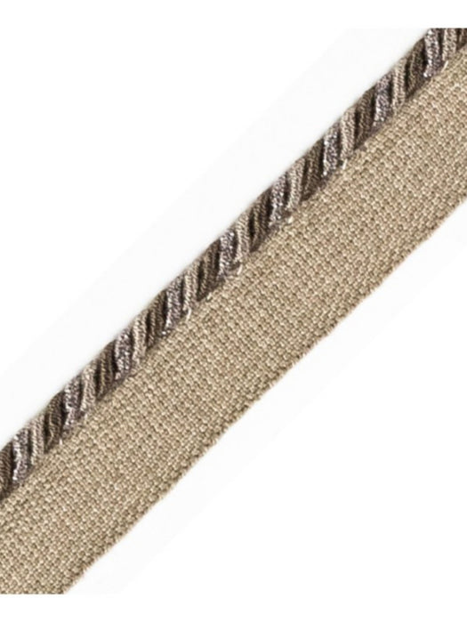 Scalamandre Cord With Tape Vieil Argent Trim PL64660290