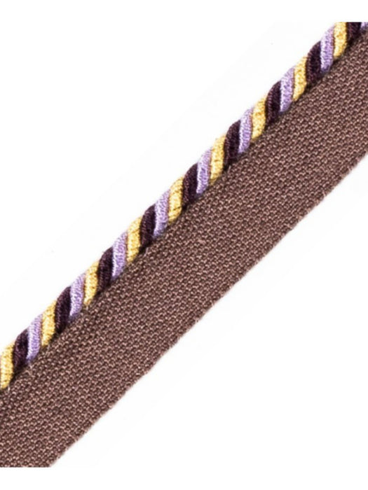 Scalamandre Cord With Tape Prune Et Mauve Trim PL64660299