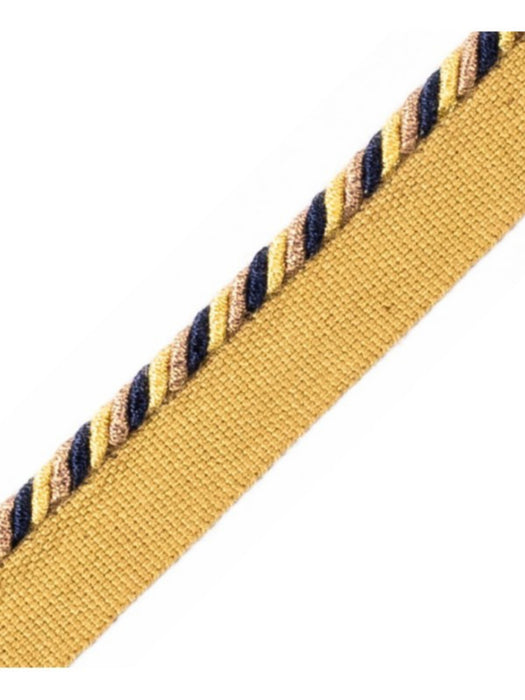 Scalamandre Cord With Tape Marine Et Beige Trim PL64660300