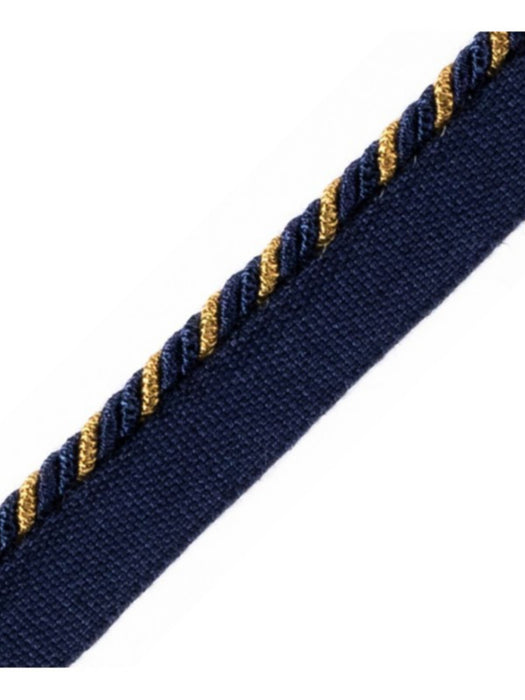 Scalamandre Cord With Tape Marine Et Bronze Trim PL64660301