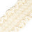 Scalamandre Safari Braid Ivory Trim PL44410401