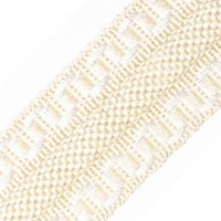 Scalamandre Safari Galon Ivory Trim PL44460401