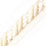 Scalamandre Safari Cord With Tape A Ivory Trim PL44590401