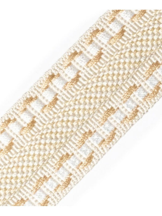 Scalamandre Safari Galon Beige Trim Sample PL44460402