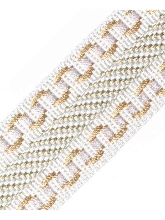 Scalamandre Safari Galon Pewter Trim Sample PL44460404