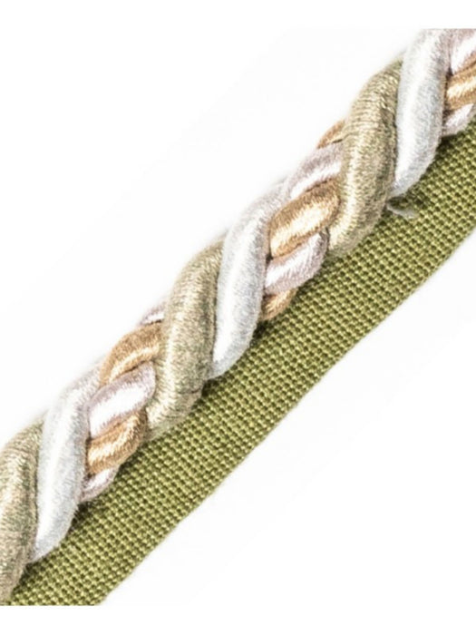 Scalamandre Safari Cord With Tape A Pewter Trim Sample PL44590404