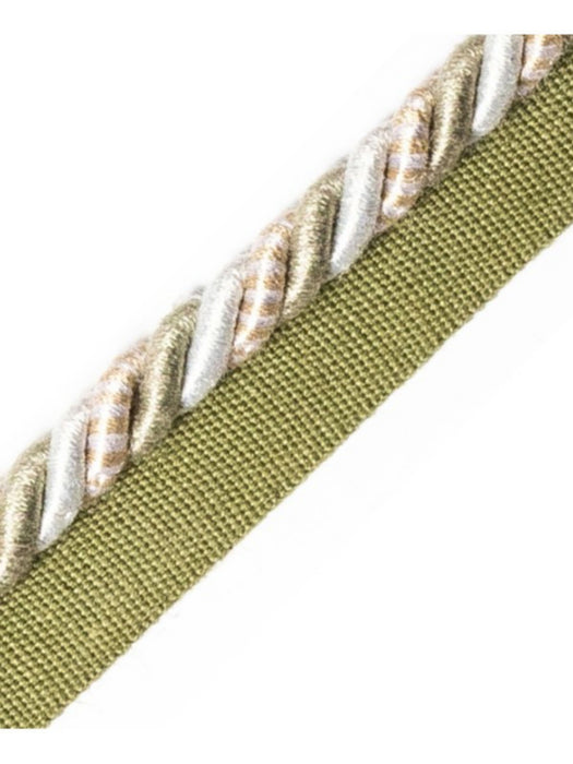 Scalamandre Safari Cord With Tape B Pewter Trim Sample PL44640404