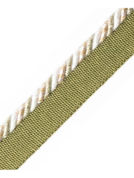 Scalamandre Safari Cord With Tape C Pewter Trim PL44660404