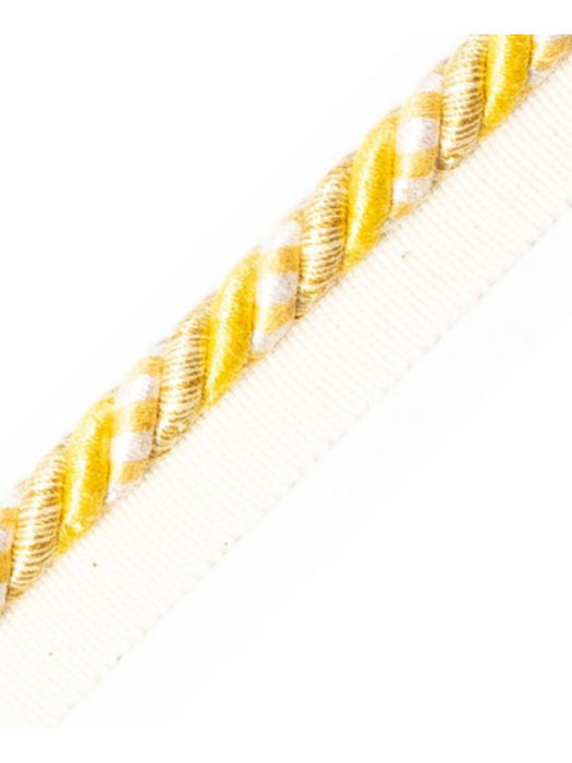 Scalamandre Safari Cord With Tape B Vanilla Trim Sample PL44640405