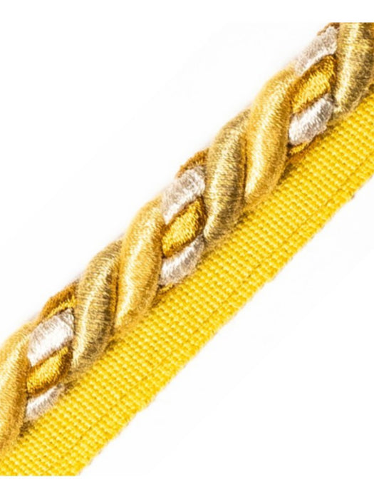 Scalamandre Safari Cord With Tape A Saffron Trim PL44590406