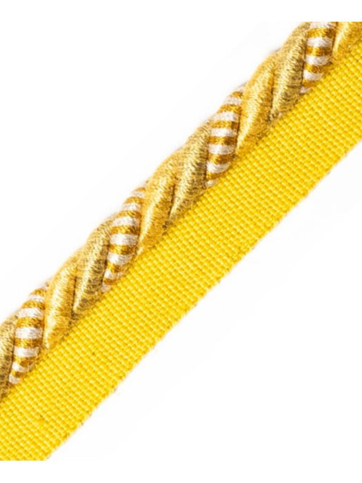 Scalamandre Safari Cord With Tape B Saffron Trim PL44640406
