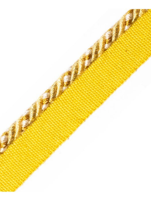 Scalamandre Safari Cord With Tape C Saffron Trim PL44660406