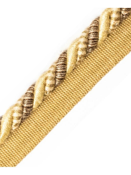Scalamandre Safari Cord With Tape B Medium Beige Trim Sample PL44640408