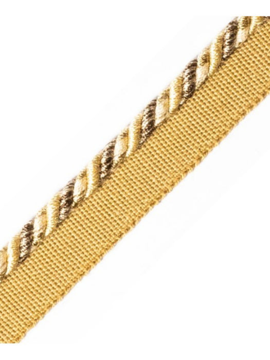 Scalamandre Safari Cord With Tape C Medium Beige Trim Sample PL44660408