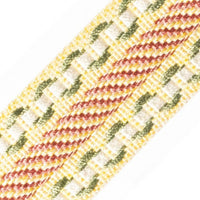 Scalamandre Safari Galon Rose/Gold/Green Trim PL44460411