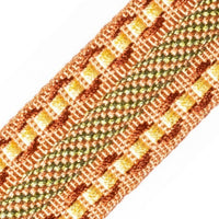 Scalamandre Safari Galon Sage/Rose Trim PL44460412