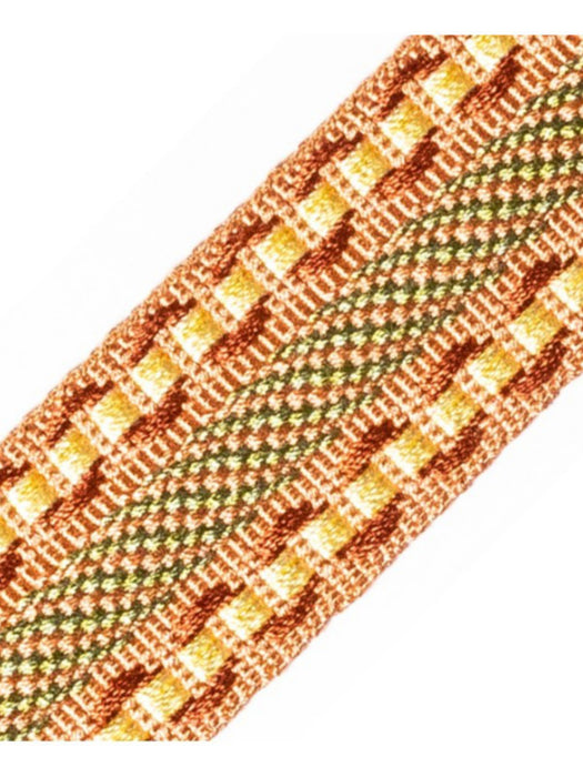 Scalamandre Safari Galon Sage/Rose Trim Sample PL44460412
