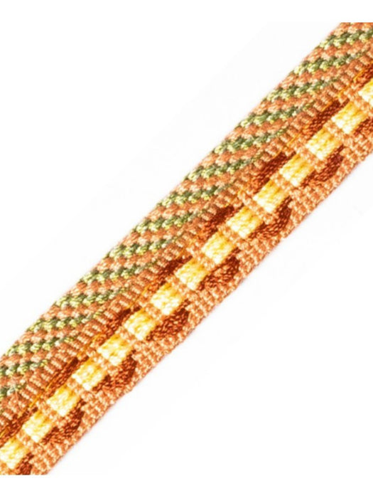 Scalamandre Safari Piping With Tape Sage/Rose Trim PL44560412