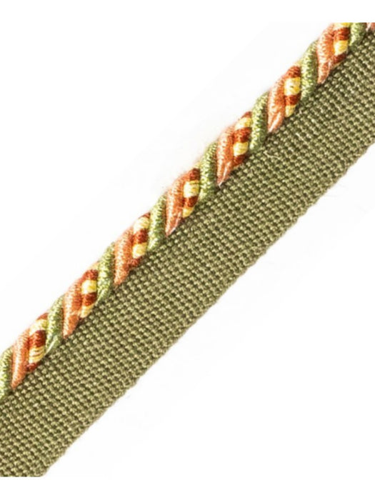 Scalamandre Safari Cord With Tape C Sage/Rose Trim Sample PL44660412