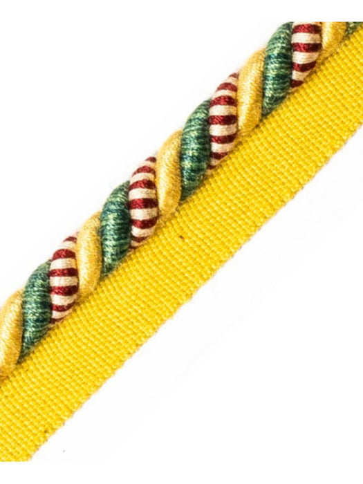 Scalamandre Safari Cord With Tape B Hunter/Bordeaux Trim Sample PL44640415