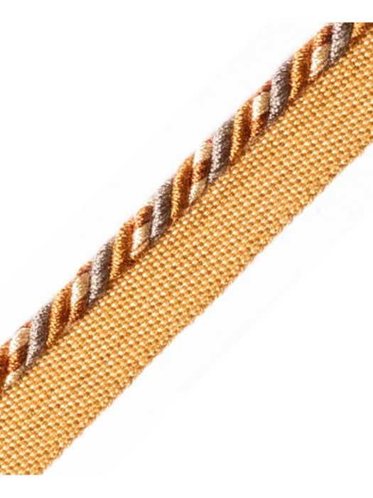 Scalamandre Safari Cord With Tape C Slate/Clay Trim PL44660416