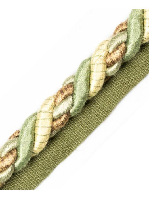 Scalamandre Safari Cord With Tape A Sage Trim Sample PL44590423