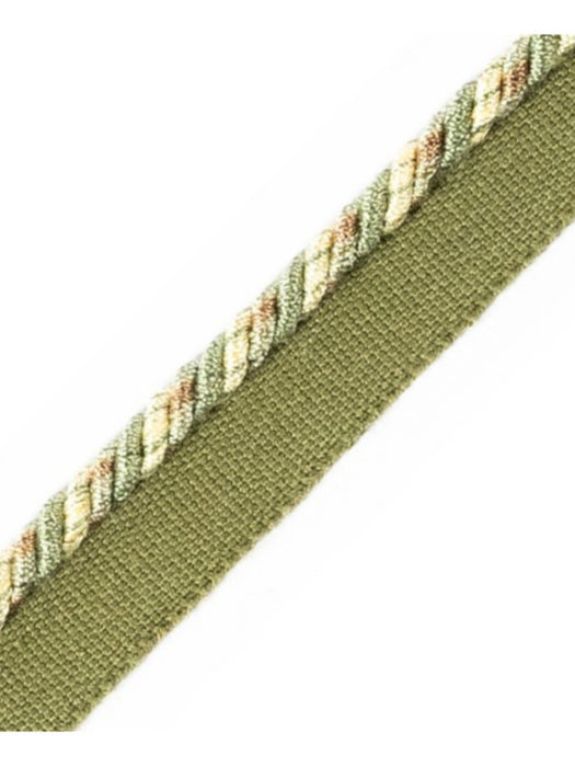Scalamandre Safari Cord With Tape C Sage Trim Sample PL44660423
