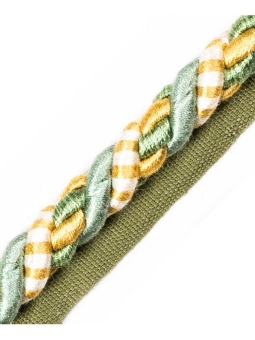Scalamandre Safari Cord With Tape A Seafoam/Gold Trim Sample PL44590424