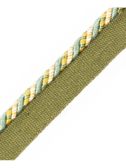 Scalamandre Safari Cord With Tape C Seafoam/Gold Trim PL44660424